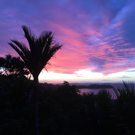 Nikau Apartments Waiheke Island Onetangi Luaran gambar