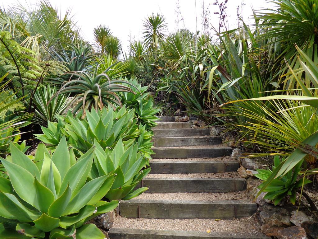 Nikau Apartments Waiheke Island Onetangi Luaran gambar